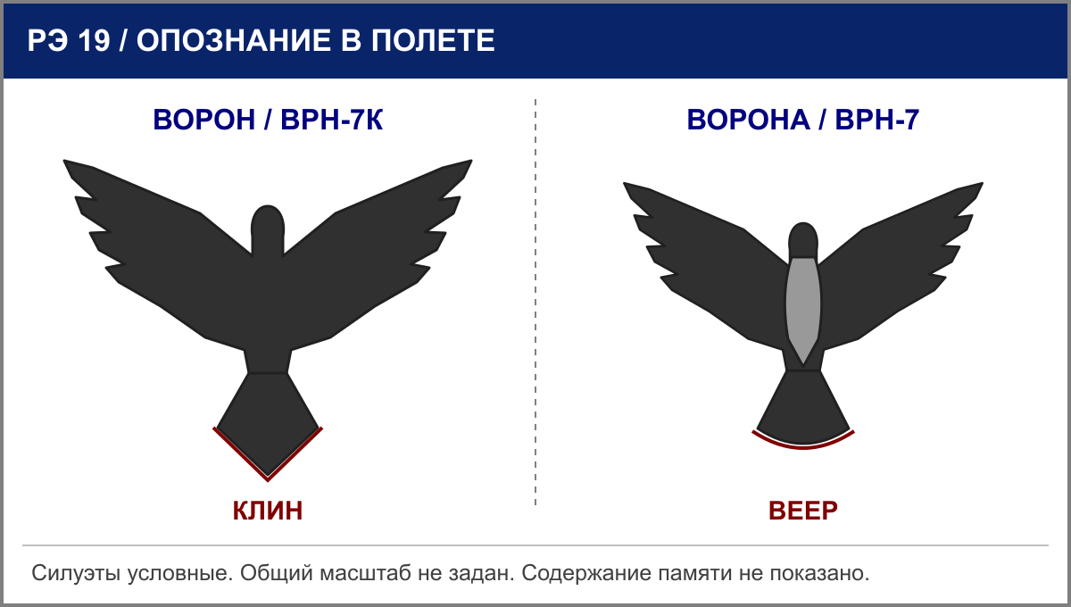 Сравнение хвоста в полете: у ворона клиновидная форма, у вороны — веерообразная без выраженного длинного клина.